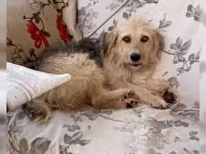 Lilly – Bild 4