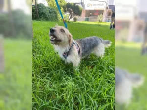 Lilly – Bild 9