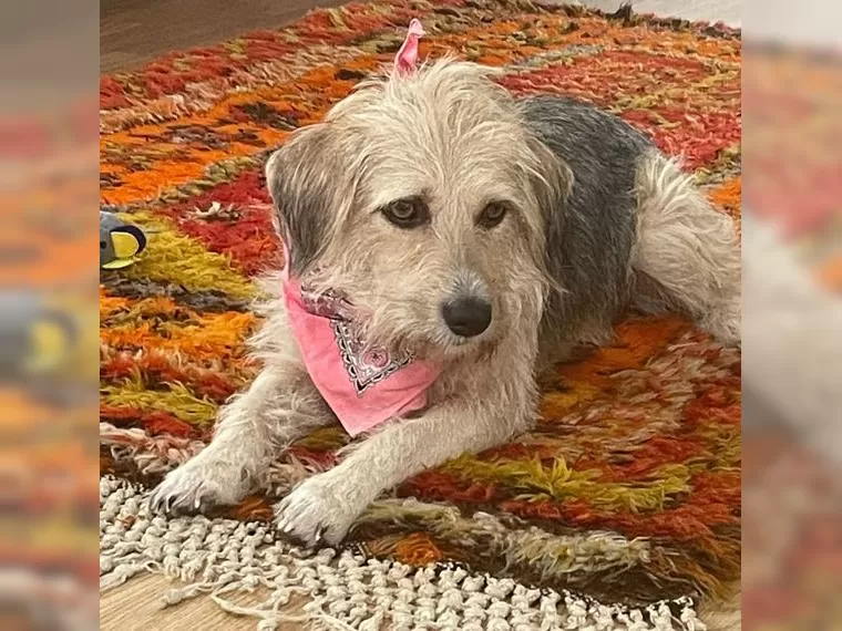 Lilly
