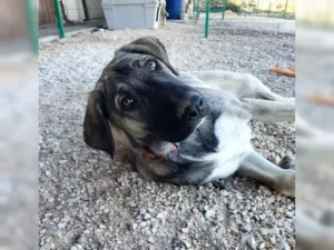 Ferdi – Bild 2