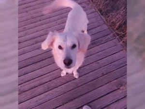 Lenny – Bild 2