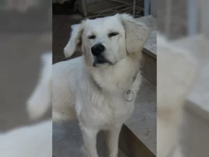 Lenny – Bild 8
