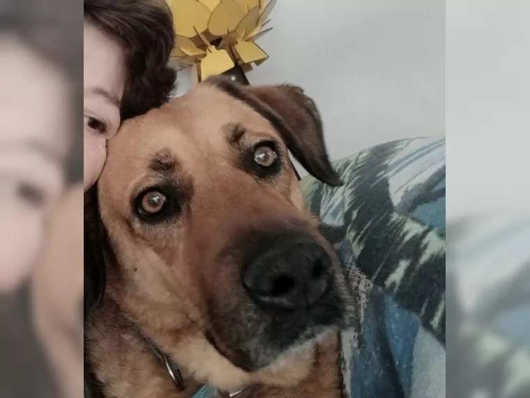 Daisy