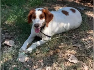 Betty – Bild 2