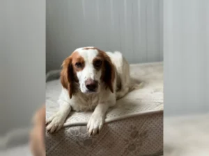 Betty – Bild 5