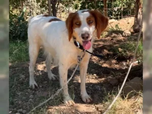 Betty – Bild 6