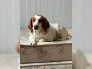 Betty – Bild 8
