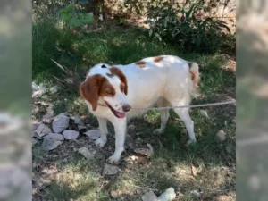 Betty – Bild 10