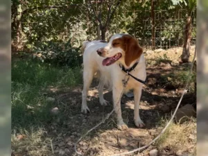 Betty – Bild 11