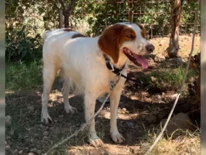 Betty – Bild 12