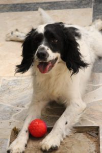 Lutz – Bild 14