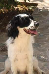 Lutz – Bild 15