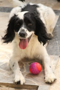 Lutz – Bild 21