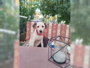 Lani – Bild 8