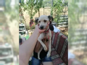 Lani – Bild 10