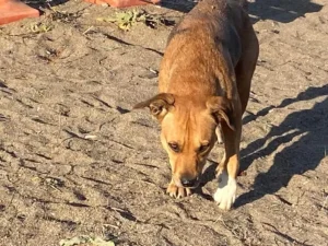 Leni – Bild 5