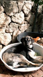 Kian – Bild 19