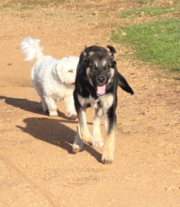 Kian – Bild 21