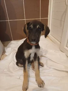 Kian – Bild 6