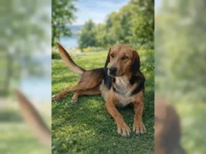 Toffee – Bild 4