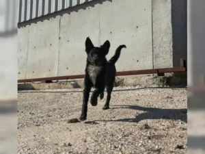 Kira – Bild 6