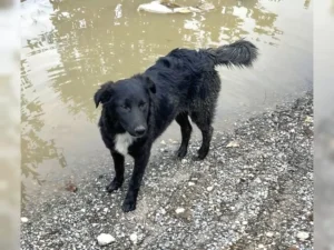 Kira – Bild 7