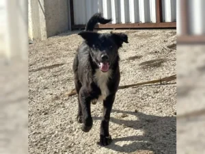 Kira – Bild 12