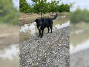 Kira – Bild 16