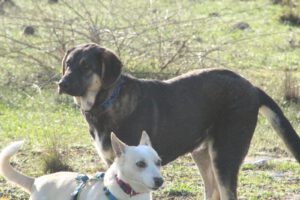 Kian – Bild 12