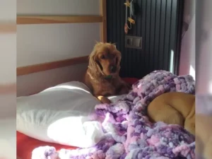 Thea – Bild 3