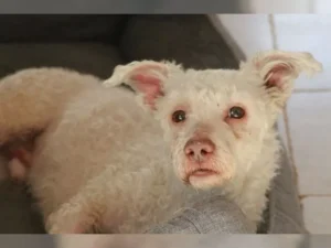 Hugo – Bild 1
