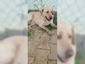 Buddy – Bild 8