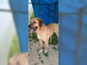 Nora – Bild 4