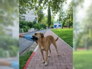 Nora – Bild 16
