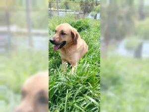 Nora – Bild 17