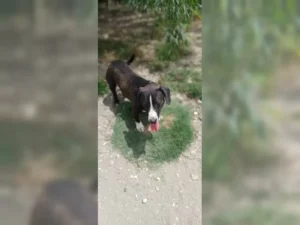 Budy – Bild 2