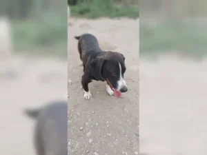 Budy – Bild 3