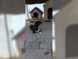 Budy – Bild 4