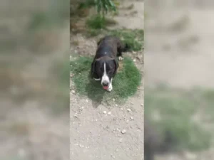 Budy – Bild 6