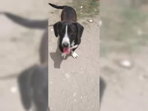 Budy – Bild 1
