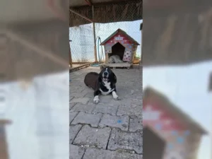Budy – Bild 7