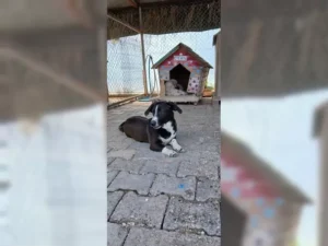 Budy – Bild 8