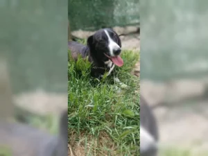 Budy – Bild 9