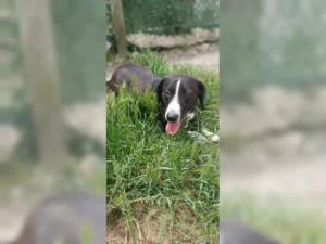 Budy – Bild 10