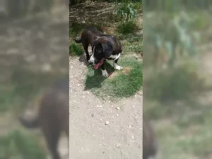 Budy – Bild 11
