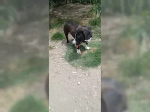 Budy – Bild 12