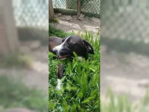 Budy – Bild 13