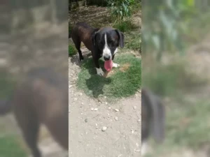 Budy – Bild 14