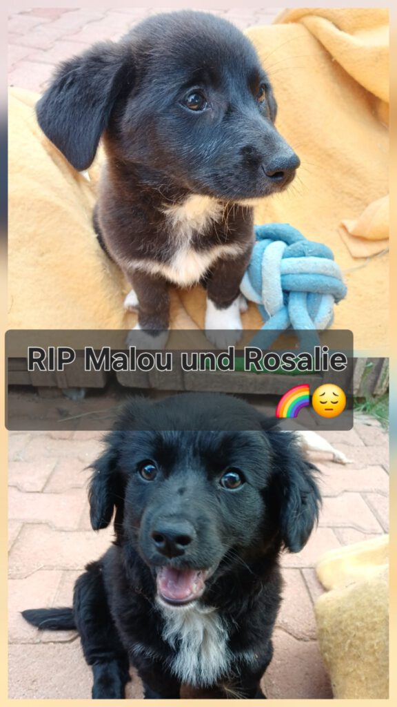 Malou und Rosalie