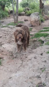 Toffy – Bild 13